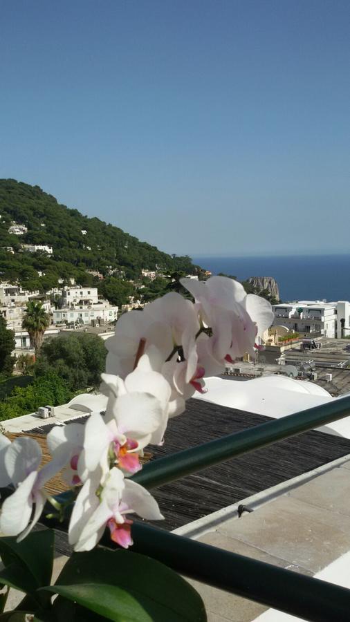 Casa Costanza Hotel Capri Exterior photo